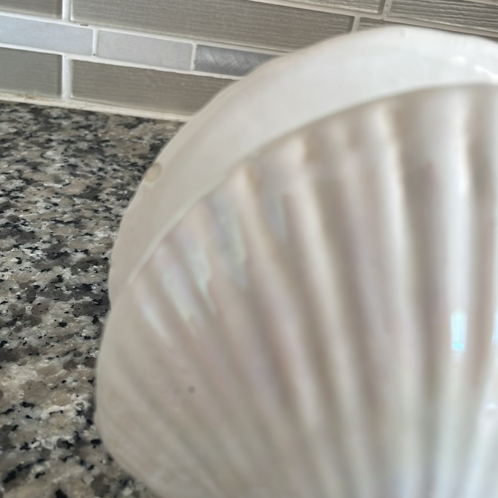 COPY - Coastal Ceramic Sea Shell Form Napkin Holder Table Top Ware - Picture 4 of 6